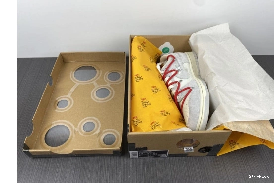 Dunk Lot DJ0950-103 O-W Nike 40 Low 0815